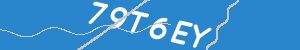 Introduïu el text que apareix a la imatge